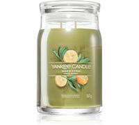 Yankee Candle Sage & Citrus candela profumata Signature 567 g