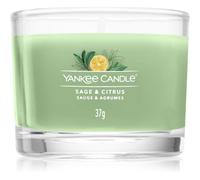 Yankee Candle Sage & Citrus candela votiva Signature 37 g