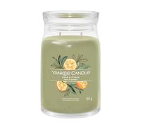Yankee Candle Sage & Citrus Signature - Giara grande 567 g