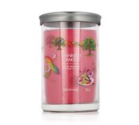 Yankee Candle Tumbler Art In The Park 567 g
