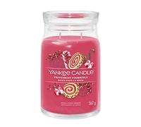 Yankee Candle Signature candela profumata, Biscotti alla Menta in giara grande, Candele di miscela di cera di soia lunga durata