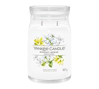 Yankee Candle Candela profumata Praline & Birch 567 g variante Midnight Jasmine