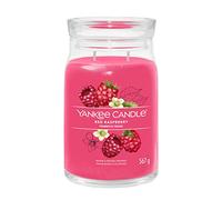 Yankee Candle Candela profumata Praline & Birch 567 g variante Red Raspberry