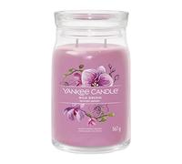 Yankee Candle Candela profumata Praline & Birch 567 g variante Wild Orchid