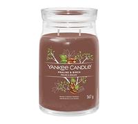 Yankee Candle Candela profumata Praline & Birch 567 g variante Praline & Birch