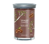 Yankee Candle Signature Candela Profumata, Pralina E Betulla in Tumbler Grande, Candele di Miscela di Cera di Soia Lunga Durata, Regalo per le Donne