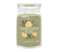 Yankee Candle Candela profumata Praline & Birch 567 g variante Sage & Citrus