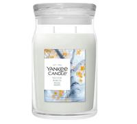 YANKEE CANDLE CANDELA IN GIARA GRANDE SILVER BIRCH