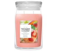 Yankee candle signature giara grande white strawberry bellini