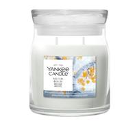 YANKEE CANDLE CANDELA IN GIARA MEDIA SILVER BIRCH