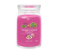 Yankee Candle - Signature Jar Candles Art In The Park 567g - LARGE - Candele profumate