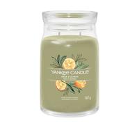 Yankee Candle Sage & Citrus candela profumata Signature 567 g
