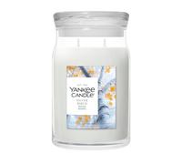 Yankee Candle Signature Jar Candles Silver Birch 567g - Candela Profumata