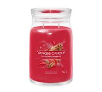 Yankee Candle Signature Jar Candles Sparkling Cinnamon 567g - Candela Profumata