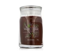 Yankee Candle Praline & Birch signature candela grande 567 g