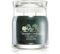 Candela Silver Sage Pine Giara Signature Media 368 gr Yankee Candle