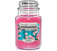 Yankee Candle Simply Sweet Pea, 538 g