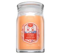 Yankee Candle Slopeside Spritz candela profumata Signature 567 g