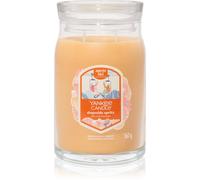 Yankee Candle Slopeside Spritz candela profumata Signature 567 g