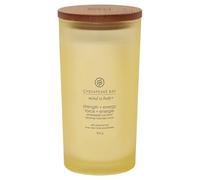 Strength & Energy (Pineapple Coconut) Candele In Vetro Grande 355 gr Chesapeake Bay Candle