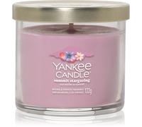 Yankee Candle Summit Stargazing candela profumata Signature 122 g