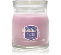 Yankee Candle Summit Stargazing candela profumata Signature 368 g