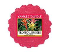 YANKEE CANDLE Tart di Fondere, Giungla Tropicale, 22 G, 5.6 x 1.5 cm