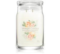Yankee Candle White Spruce & Grapefruit candela profumata 567 g