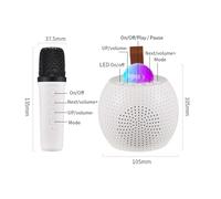 Yanmis Altoparlante BT Portatile Mini Microfono Wireless e Set di Altoparlanti con Effetto Magico di Modifica del Suono Doppio Microfono per Duetti Canto Ampia compatibilità per Feste di Compleanno