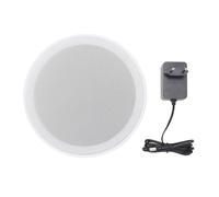 Yanmis Altoparlante da Soffitto da 6 Pollici, di Altoparlanti da Incasso a Soffitto e da Parete da 60 W Amplificatore Digitale Integrato in per Home Theater Commerciale (Spina europea)