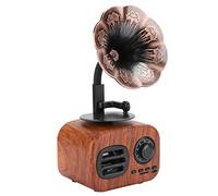 Yanmis Mini Altoparlante Bluetooth Portatile retrò con Ottima qualità del Suono per Lettore Musicale Desktop Portatile, Compatto e Leggero, Colore Noce (Noce)