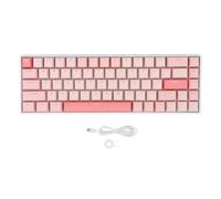 Yanmis Tastiera da Gioco Anti-effetto Fantasma, Tastiera Meccanica Retroilluminata RGB Cablata USB C di Piccole Dimensioni per Computer, Interruttore Blu, modalità di Illuminazione