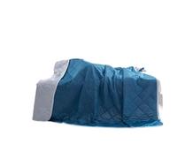 YANSHUYU Coperta Refrigerante Letto Coperta rinfrescante, Morbida e Leggera, for L'Estate, Lavabile in Lavatrice Coperta Rinfrescante per L'Estate(Deep Lake Blue 1pc,200x250cm)