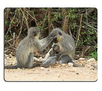 Yanteng Cucitura di precisione Mouse Pad Gaming Mouse Pad Vervet Monkey Famiglia Grooming e Alimentazione