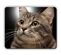 Yanteng Mouse pad di gioco Mouse pad di alta qualità, museruola di gatto grigio striato, Game Office MousePad