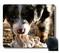 Yanteng Tappetino Mouse da Gioco con Bordo Cucito di precisione, Tappetino Mouse per Mouse da Gioco Australian Shepherd Puppy Mouse Pad