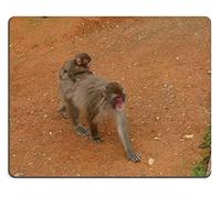 Yanteng Tappetino per Il Mouse Tappetino per Il Mouse Tappetino per Mouse in Gomma Naturale Iwatayama Monkey Park Arashiyama Kyoto Set di Materiale in Gomma Naturale M0A07339