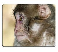 Yanteng Tappetino per Mouse in Gomma Naturale Monkey Macaque M0A11017