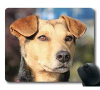 Yanteng Tappetino per Mouse Personalizzato, Cute Dogs, Cane Ibrido Ritratto Maschile Attenzione Vigilant Pet, Cani Tappetino per Mouse da Gioco