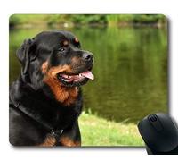 Yanteng Tappetino per Mouse Personalizzato, Golden Retriever Cucciolo di Cane, Rottweiler Cane di Razza Animale Cane Pacifico Pet00, Cani Tappetino per Mouse da Gioco