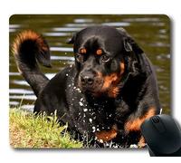 Yanteng Tappetino per Mouse Personalizzato, Puppy Thick Mousepad, Cane di Razza Rottweiler Animal Dog Peaceful Pet02, Cani Tappetino per Mouse da Gioco
