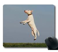 Yanteng Tappetino per Mouse Personalizzato, Tappetino per Mouse per Cani Galore, Dog Training Joy Fun Dog School, Cani Tappetino per Mouse da Gioco