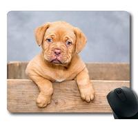 Yanteng Tappetino per Mouse Personalizzato, Tappetino per Mouse Personalizzato Cane Divertente, Cuccioli di Cane Dogue De Bordeaux Cane Carino Dolce, Cani Tappetino per Mouse da Gioco