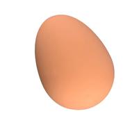 YAOGUI Uova finte realistiche scherzo novità trucco divertente per paure commedie e regali bavaglio elastico trucco magico uova partito