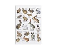 YAPING North American Rabbits Tela Print 20 x 30 pollici (50 x 75 cm)