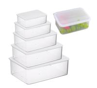 YapitHome 5 Pezzi Contenitori Ermetici per Alimenti Contenitori Plastica Scatole Plastica con Coperchio per Frutta,Snack,Cibo,Braccialetti,Strumenti,ecc.