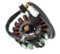 YAQEMOE Moto Statore Bobina Compatibile con Suzuki per DRZ400 per DRZ400E 2000-2004 per DRZ250 2001-2007 32101-29F00 Bobina Statore Generatore Moto Accessori
