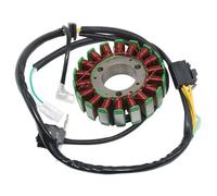 YAQEMOE Moto Statore Bobina per KLX300 per KLX300R 1997 1998 per KLX250 per KLX250SR 1993 1994 1995 1996 1997 21003-1275 Bobina Statore Generatore Moto Accessori