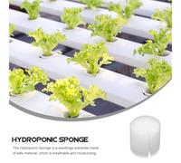 Yardenfun Blocco di Germinazione Idroponico 100 Pezzi, Attrezzo da Giardinaggio per Coltivazione Senza Terra, Spugne Bianche Riutilizzabili per Ortaggi Indoor e Serra Verde