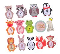 Yardenfun Pezzi adesivi del mese del bambino oggetti di scena per bambini adesivi con traguardi mensili adesivi neonata album stickers adesivi compleanno adesivo pietra miliare infantile